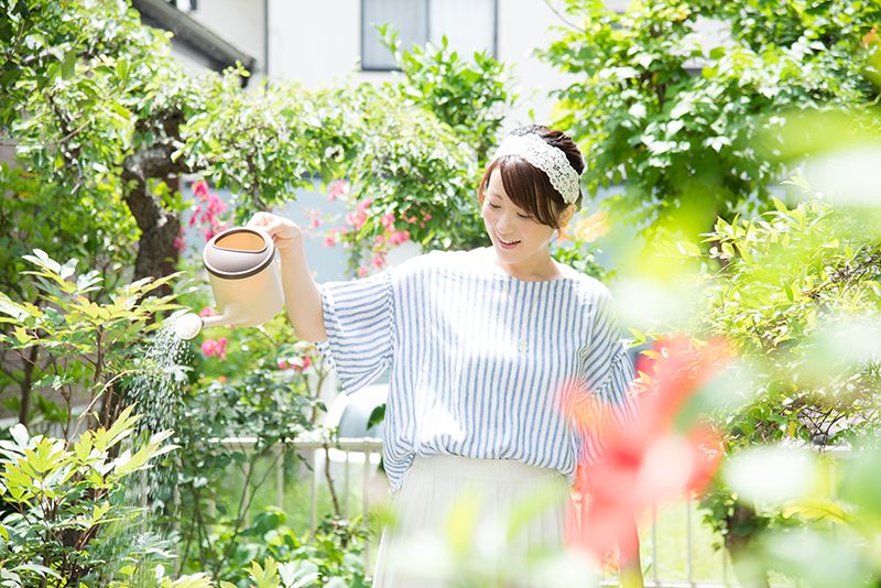 Trồng nhiều cây xanh giúp nhà thoáng mát Trồng nhiều cây xanh giúp nhà thoáng mát